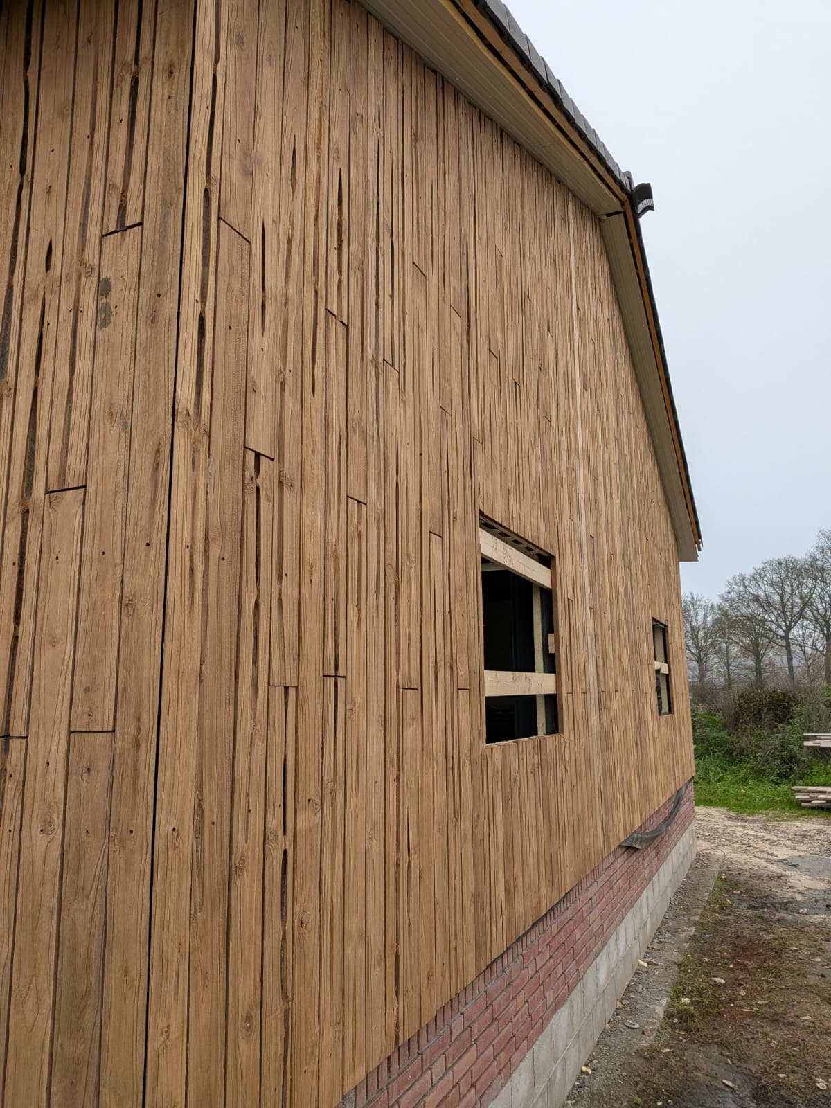 Paulownia hout