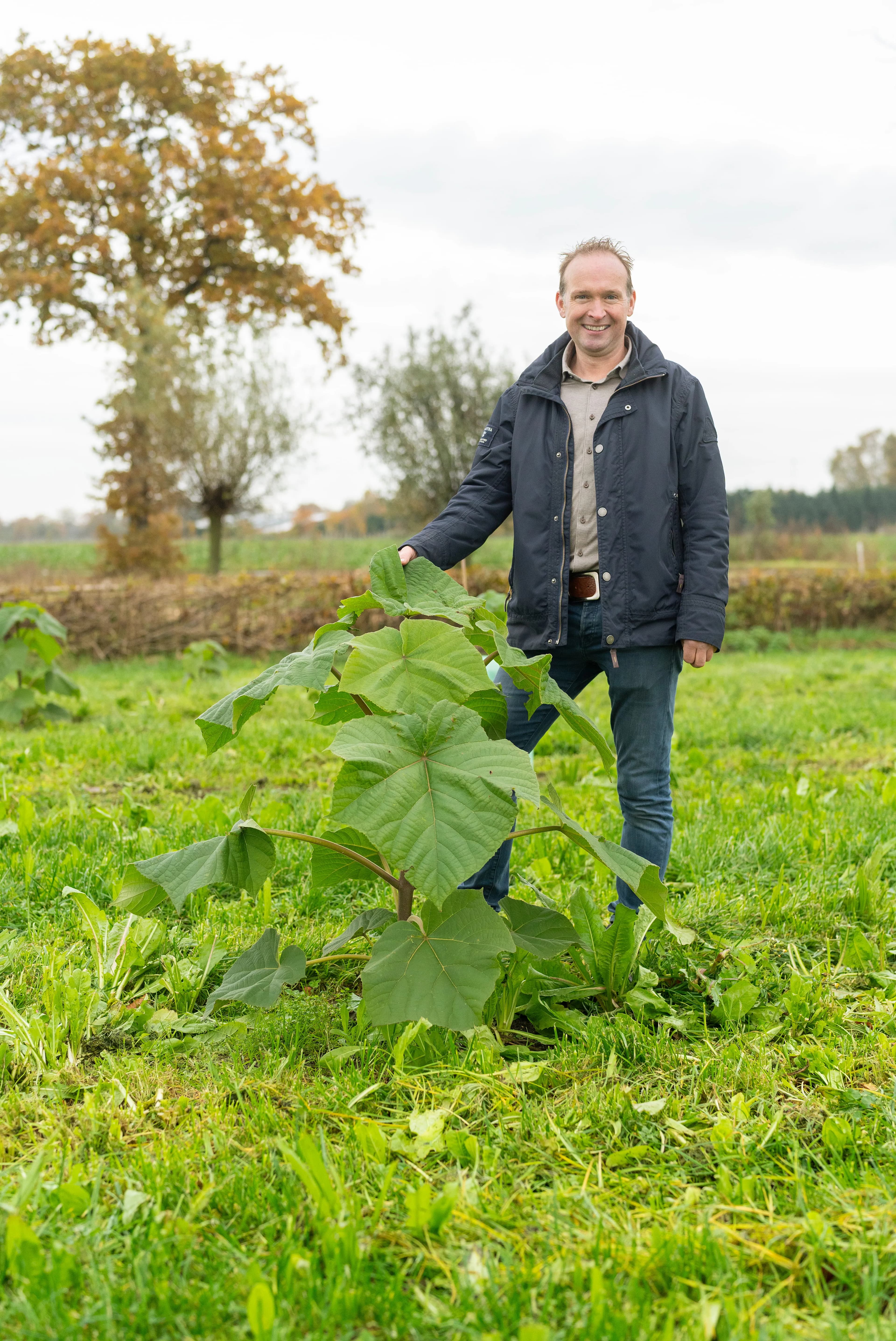 Paulownia teelt Paul Smolenaers