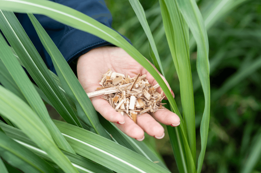 Dealin.Green genomineerd voor de Beter Verbouwen Bokaal 2026