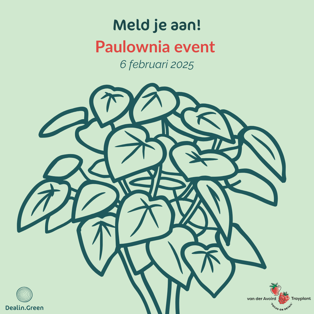 Paulownia event op 6 februari (vol)