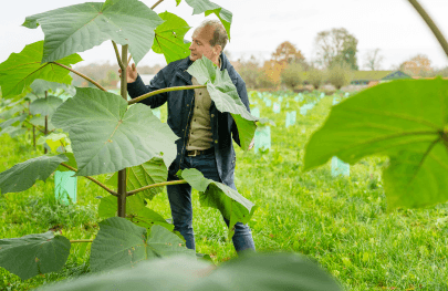 Wat is een Carbon Credit? (En waarom is het interessant voor telers)?